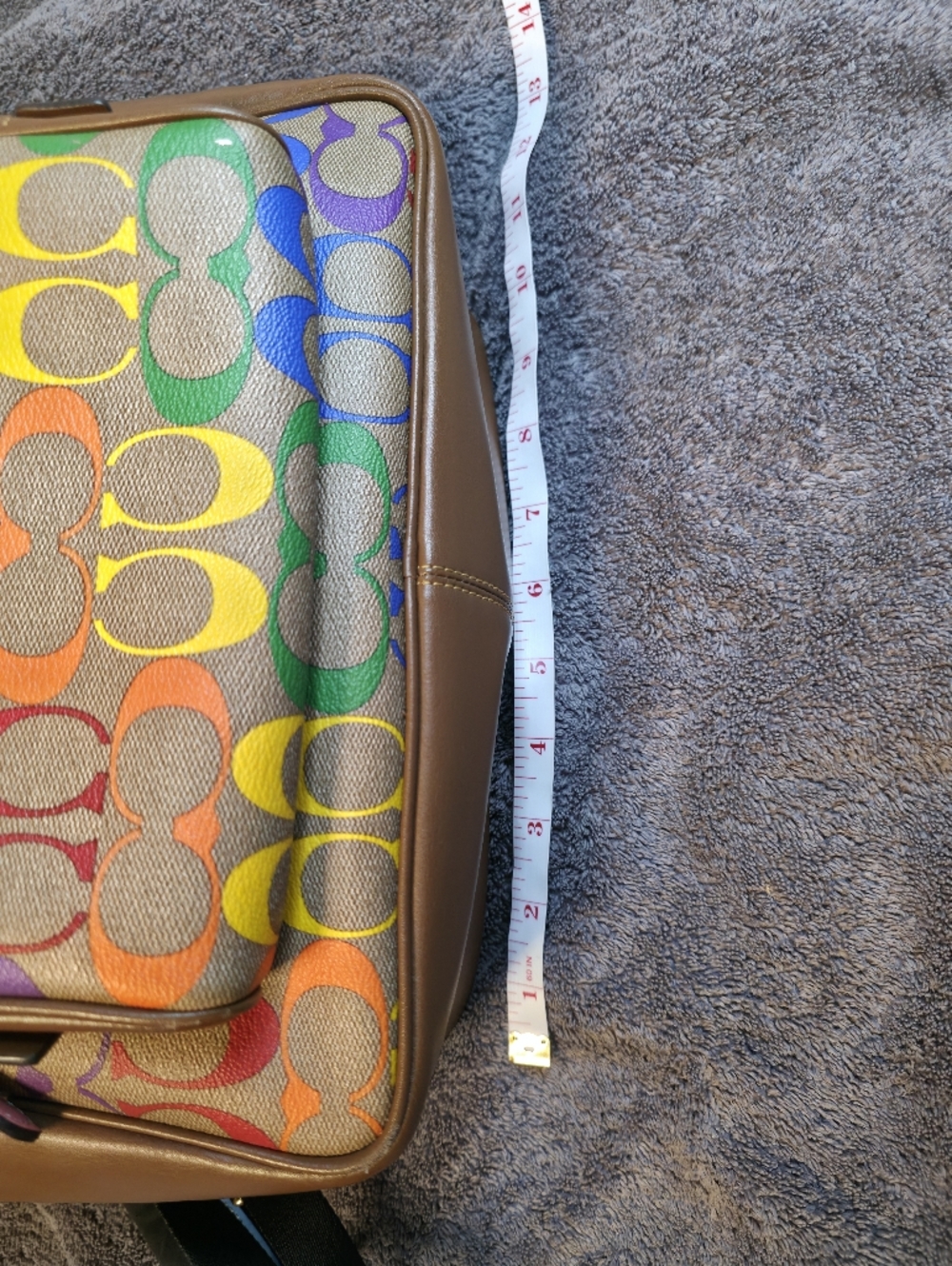 Coach Rainbow Signature Backpack - Multicolor - Picture 13 of 14